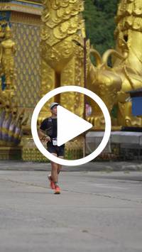 BIB:  <button type="button" onclick="openModal(26805141)" class="btn btn-primary btn-sm float-right" data-toggle="modal" data-target=".modal-high-quality">
                <i class="fa fa-download"></i> Download
                </button>